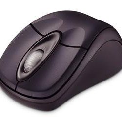 Computer Parts & Accessories Microsoft Wireless Notebook Optical Mouse 3000 shop at Dubai Mega Deals - online shopping deals and discount shop