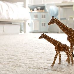 Shop Original Carpet Cleaning Now at Special Price in DubaiMegaDeals.com Home & Garden Carpet Cleaning shop at Dubai Mega Deals - online shopping deals and discount shop