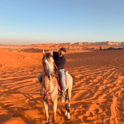 Experiences Horse Riding in Riyadh – Experiences shop at Dubai Mega Deals - online shopping deals and discount shop