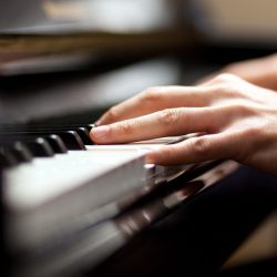 COURSE OR TRAINING Musical Instrument Course shop at Dubai Mega Deals - online shopping deals and discount shop