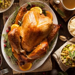 INDIAN Savor Global Flavors At Cosmic Kitchen: Daily 4-Course Set Menu shop at Dubai Mega Deals - online shopping deals and discount shop